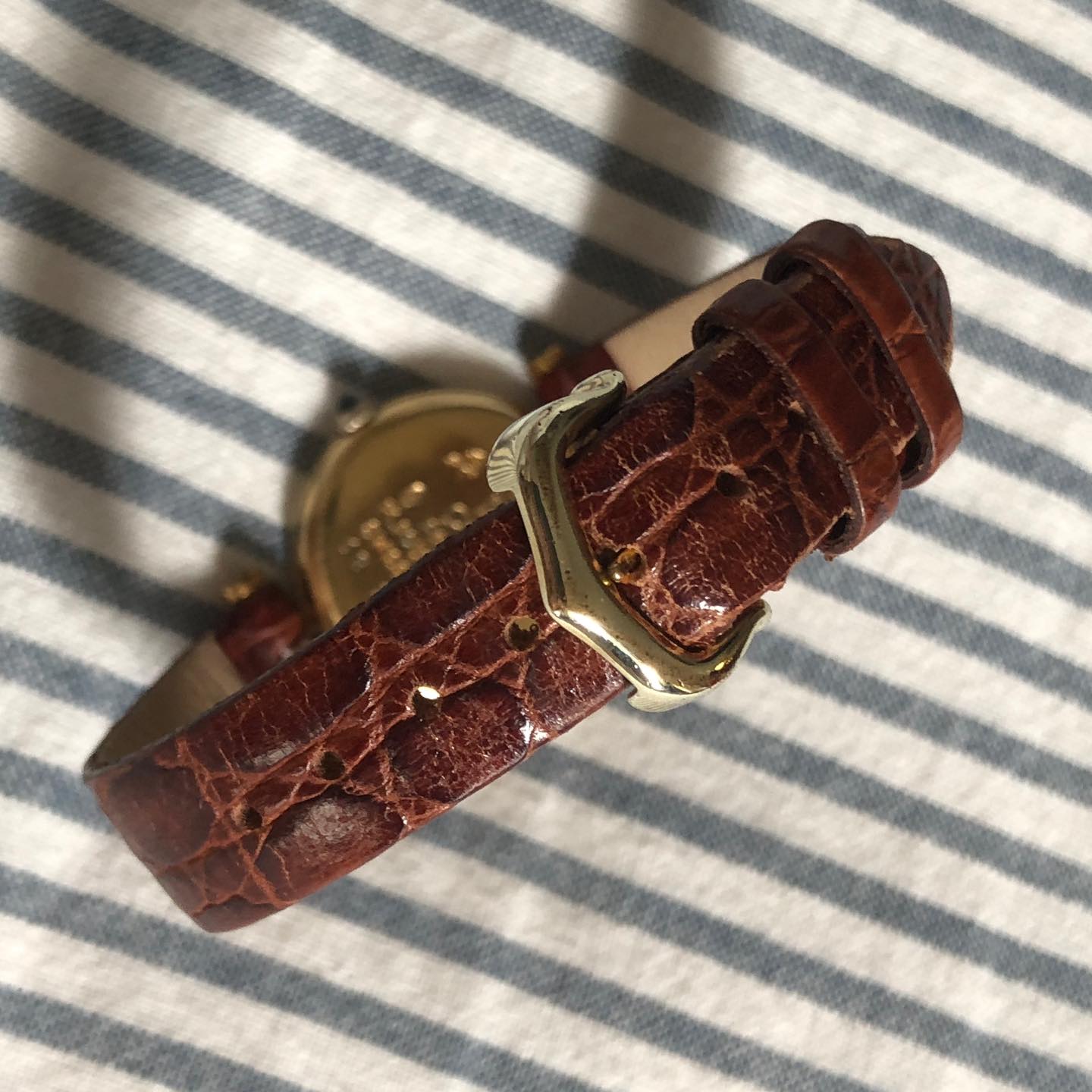 Cartier caseback and buckle